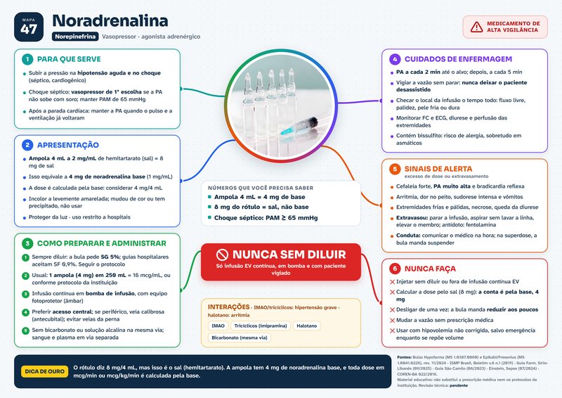 Mapa da noradrenalina